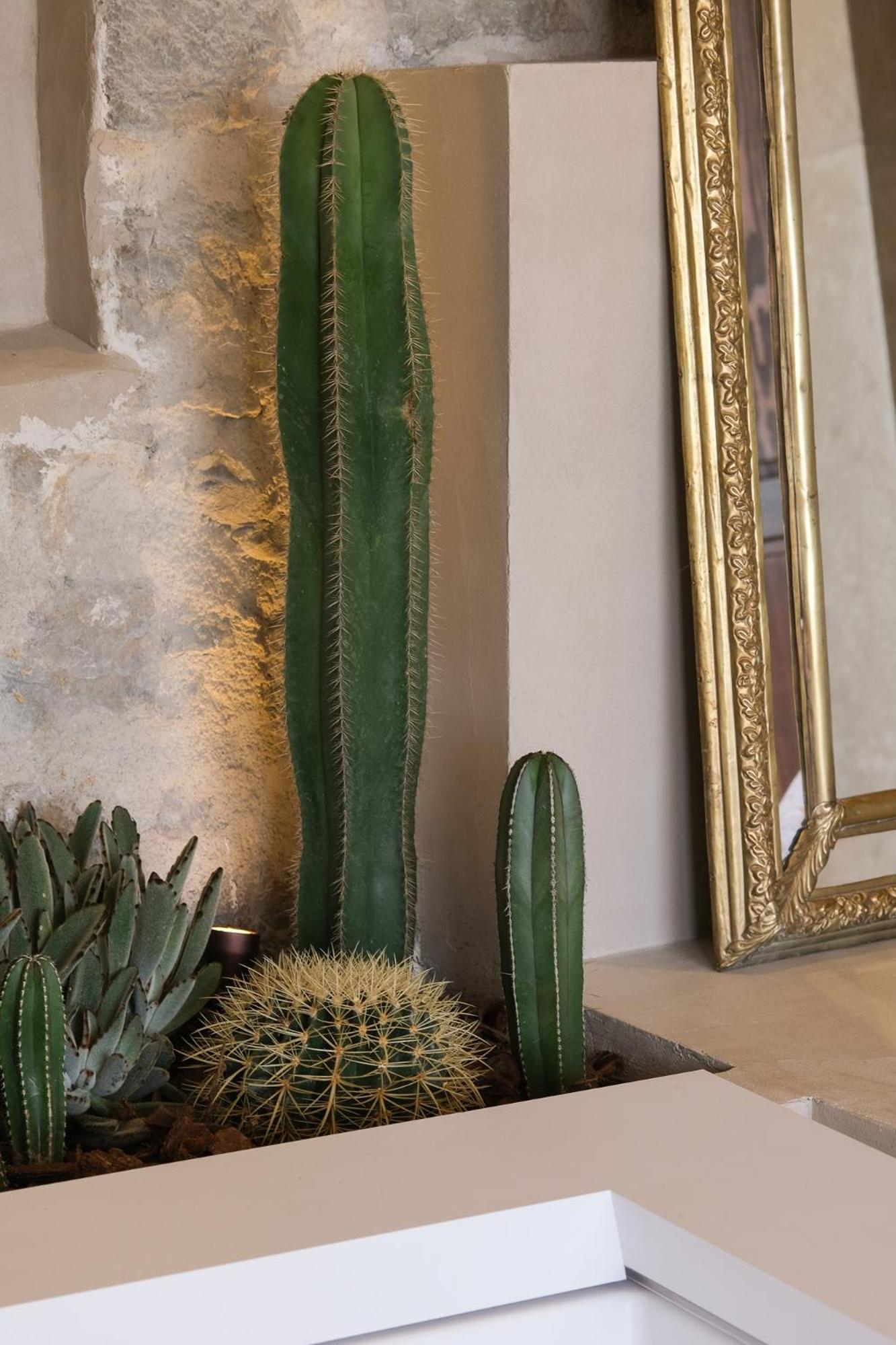 L'Abbaye Hotel La Colle-sur-Loup Eksteriør billede